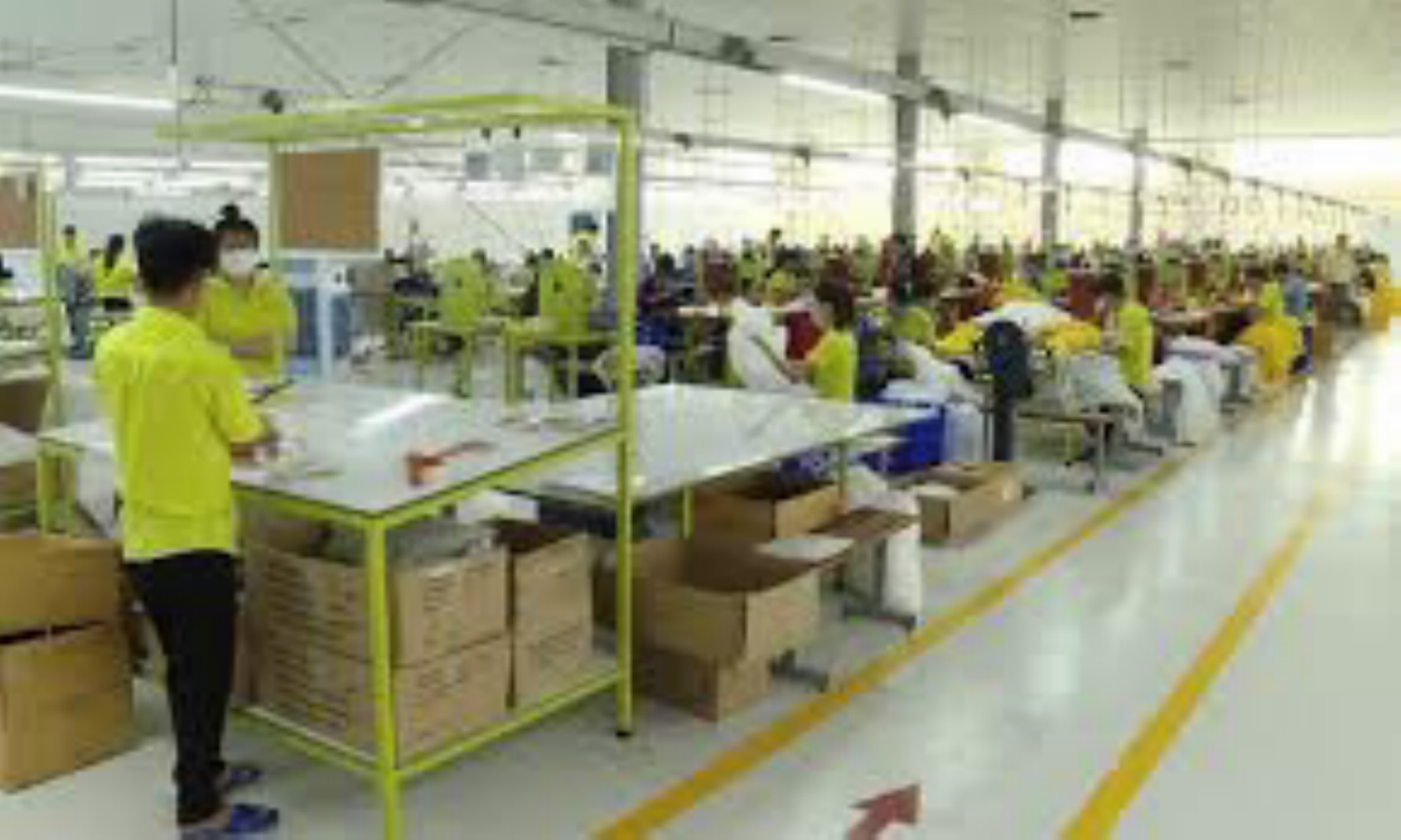 Tiếp tục mở rộng đối tượng gia hạn nộp thuế và tiền thuê đất