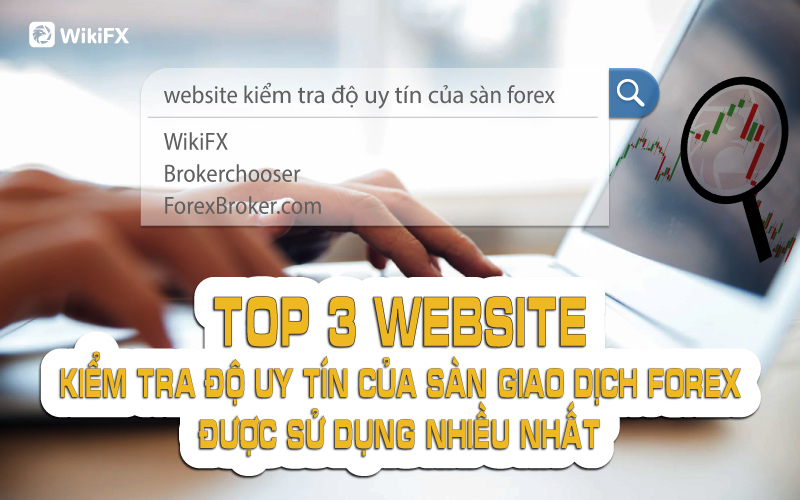 TOP 3 website kiểm tra độ uy tín của sàn giao dịch Forex được sử dụng nhiều nhất