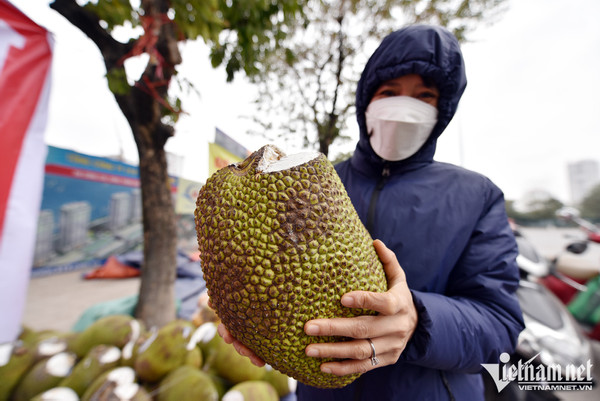 Nông sản ùn ùn sang Trung Quốc, giá nhiều loại trái cây tăng dựng đứng