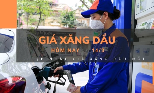 Giá xăng dầu hôm nay 14/3: Đồng loạt giảm giá