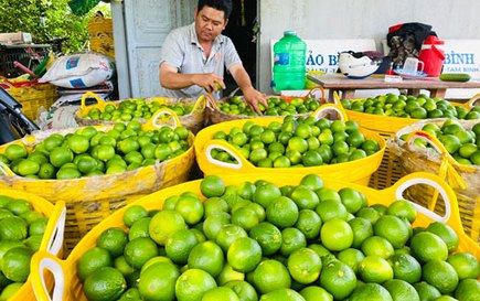 Phát triển nền nông nghiệp đa giá trị