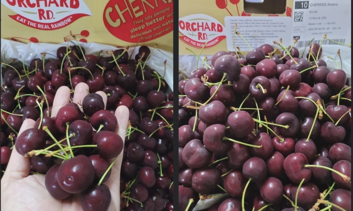 Giá cherry nhập khẩu Mỹ thấp kỷ lục