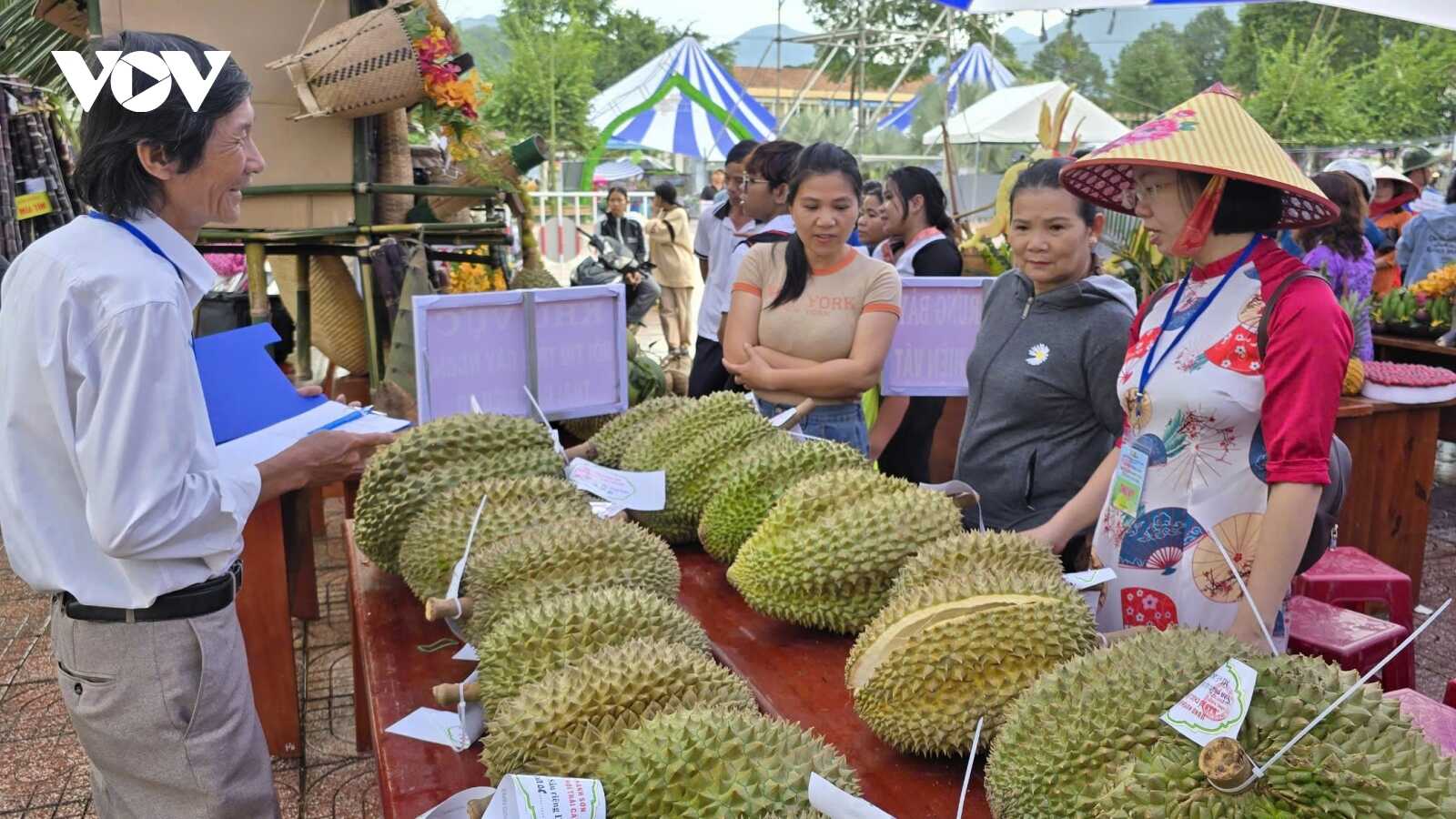 Khánh Hòa tổ chức Lễ hội trái cây, tìm đầu ra cho nông sản