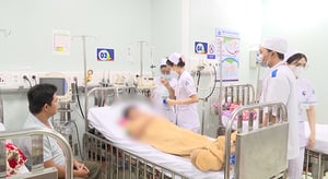 TP.HCM cảnh báo nguy cơ dịch sốt xuất huyết bùng phát sớm