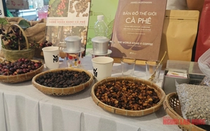 Giá cà phê hôm nay 5-4: Chuẩn bị cho kịch bản giá giảm