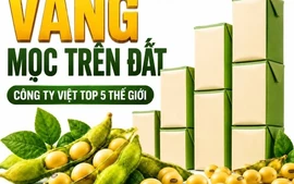 Được GS.TS Trần Đình Long ví như “vàng mọc trên đất”, loài cây này giúp một doanh nghiệp Việt vào Top 5 thế giới, doanh thu hơn 4.800 tỷ đồng/năm
